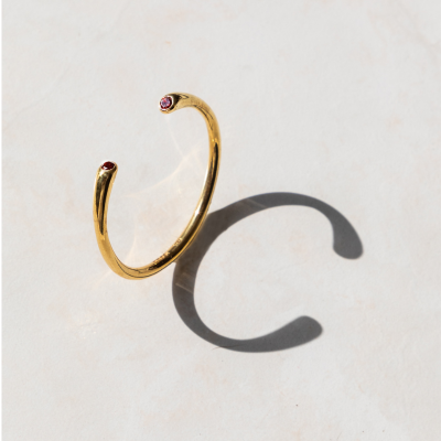 Anillo Icona 41