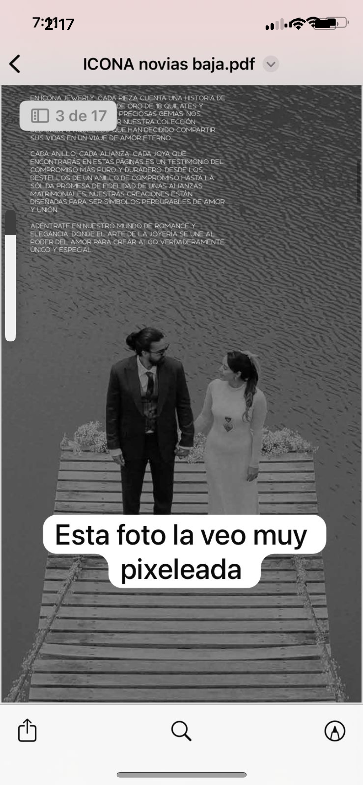 Novios Icona
